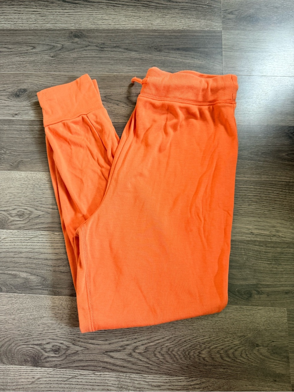 Free Assembly Jogger Sweatpants